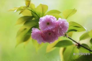 杜锋：希望年轻队员上场之后努力防守 努力拼抢篮板